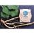 Shampoing aux plantes 1